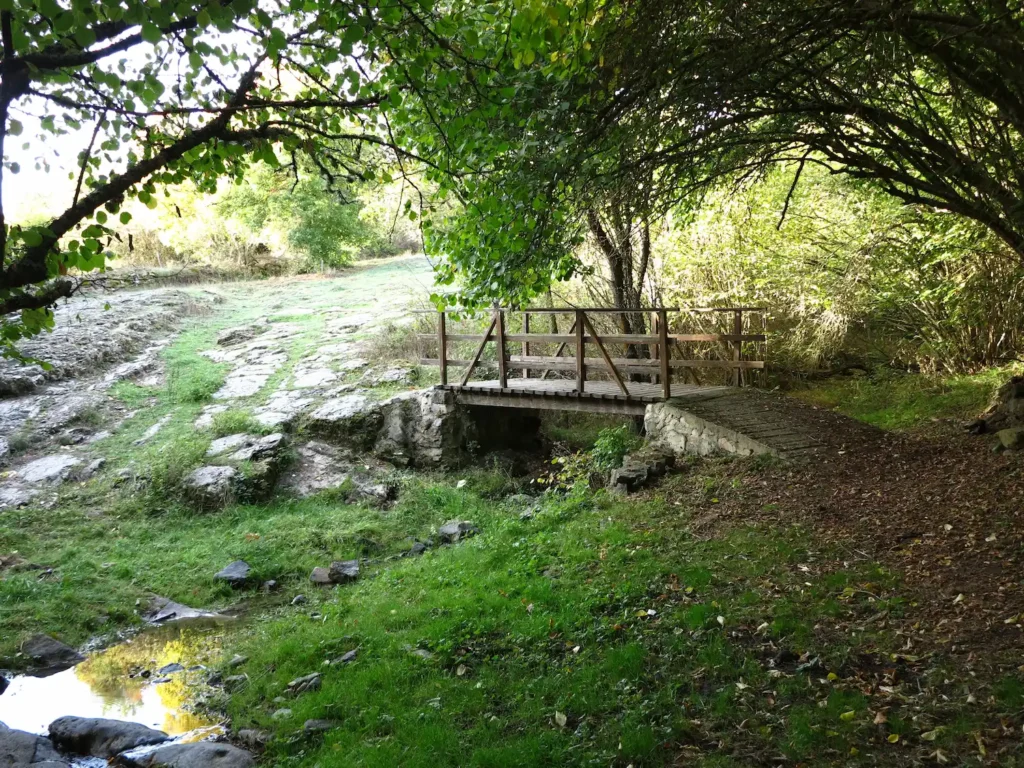 Arroyo de San Andrés