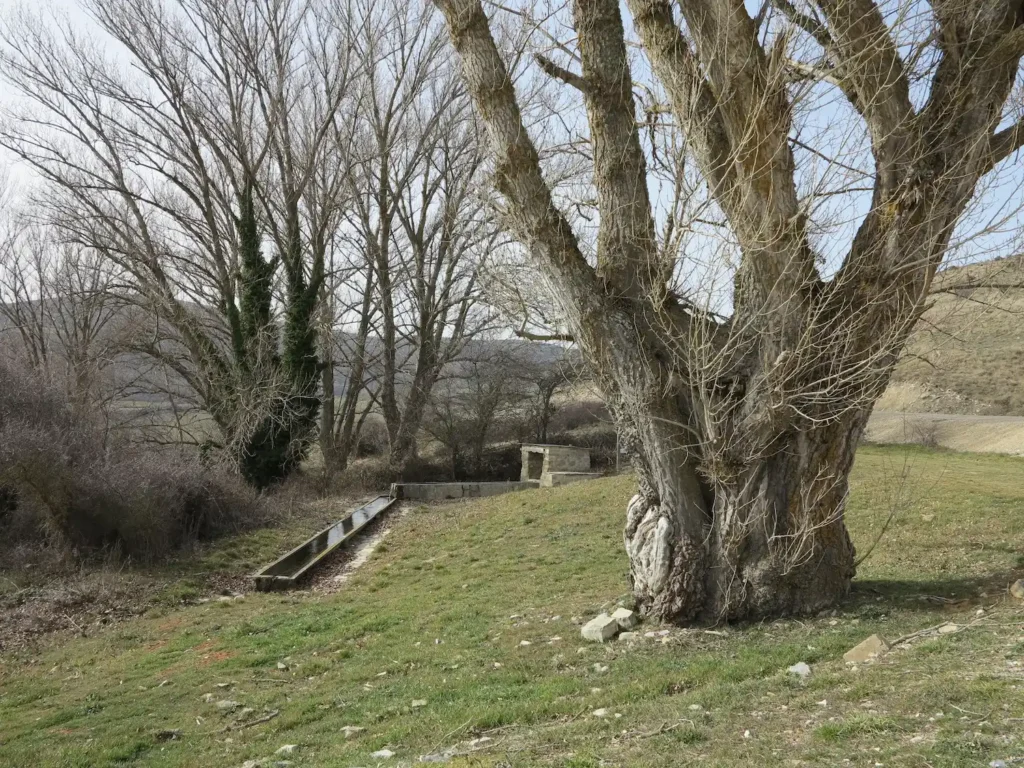 Fuente de Torretarranclo
