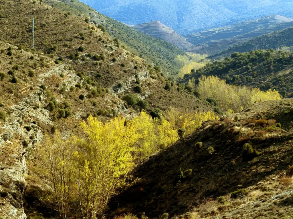 Cañón de Fuentes de Magaña